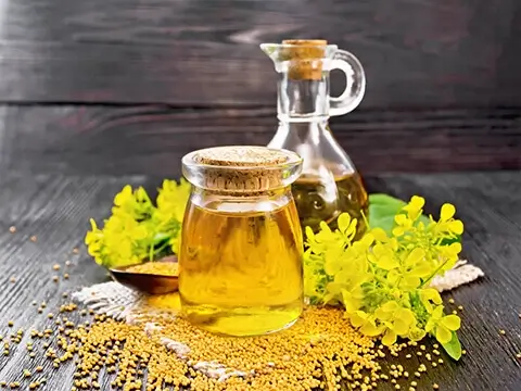 Mustard Oil Production Process