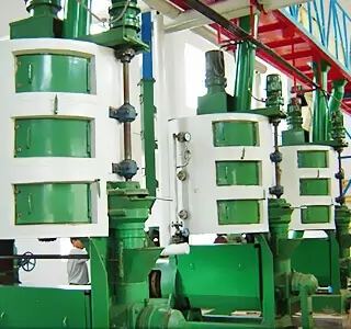 Mustard Oil Extraction Machine