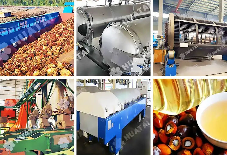 Palm oil production process