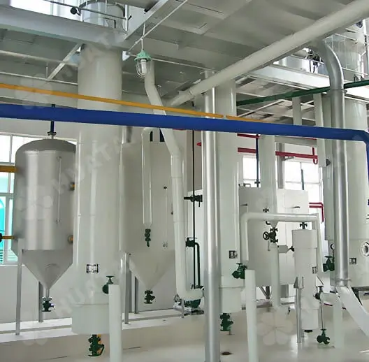 Rice bran oil extraction process