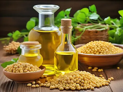 Soybean Oil Production Process