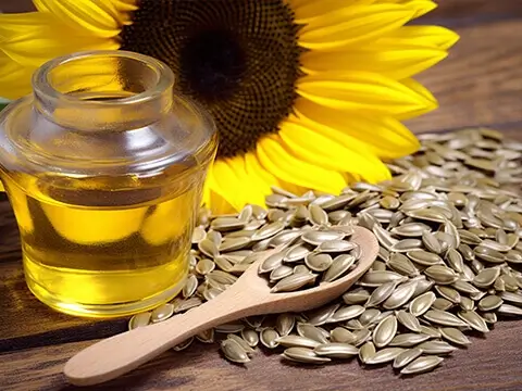 Sunflower Oil Production Process