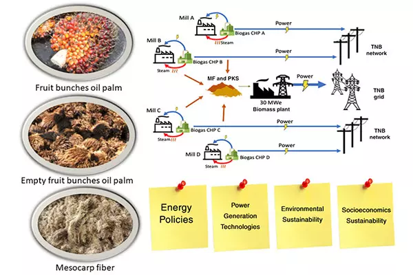 How is palm oil made