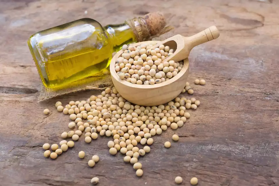 How soybean oil is made