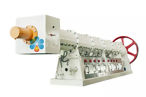 Oil Seeds Extrusion Extruder