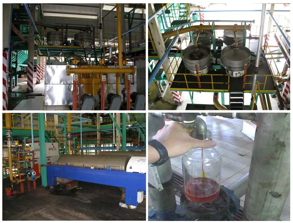 rice bran oil solvent extraction plant