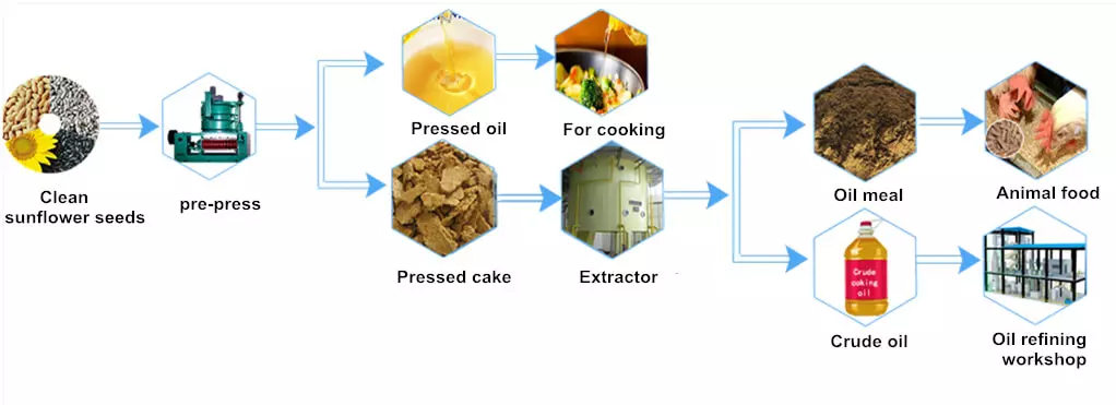 sunflower crude oil extraction