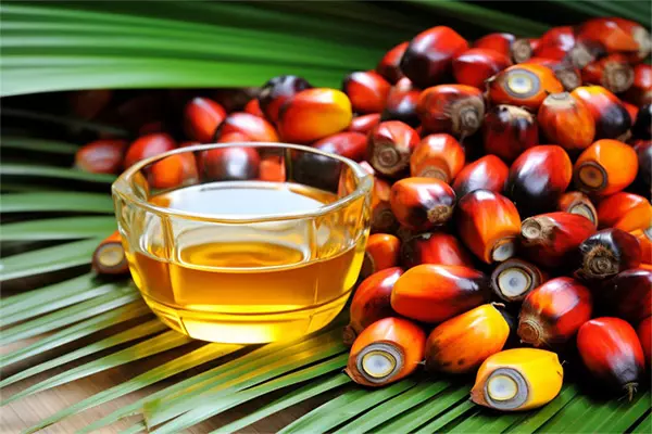 vegetable palm oil