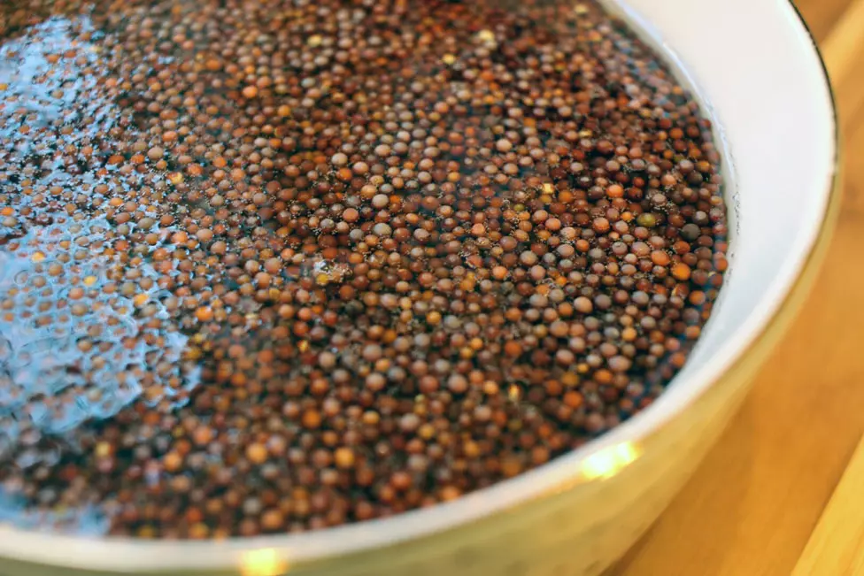 Mustard seeds soaking