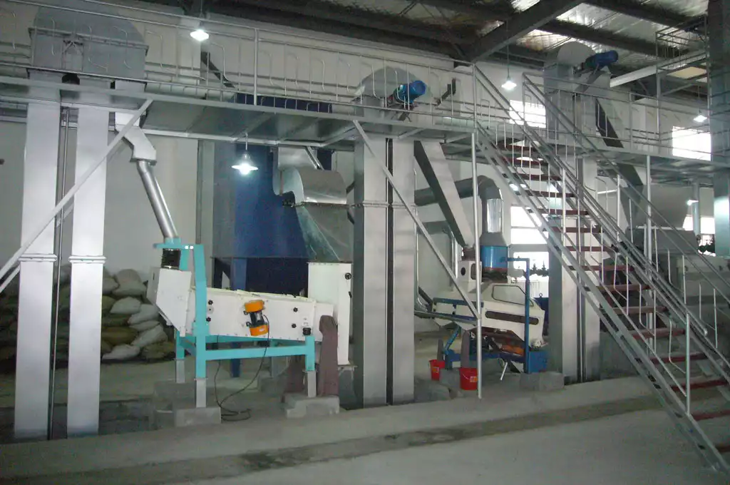 Rice bran pretreatment process