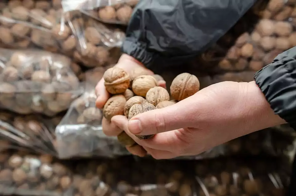 Selecting high quality walnuts