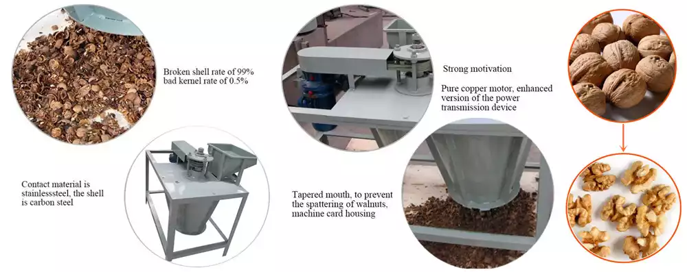 Walnuts crushing process