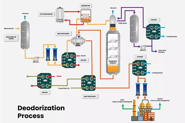 Palm oil deodorization process